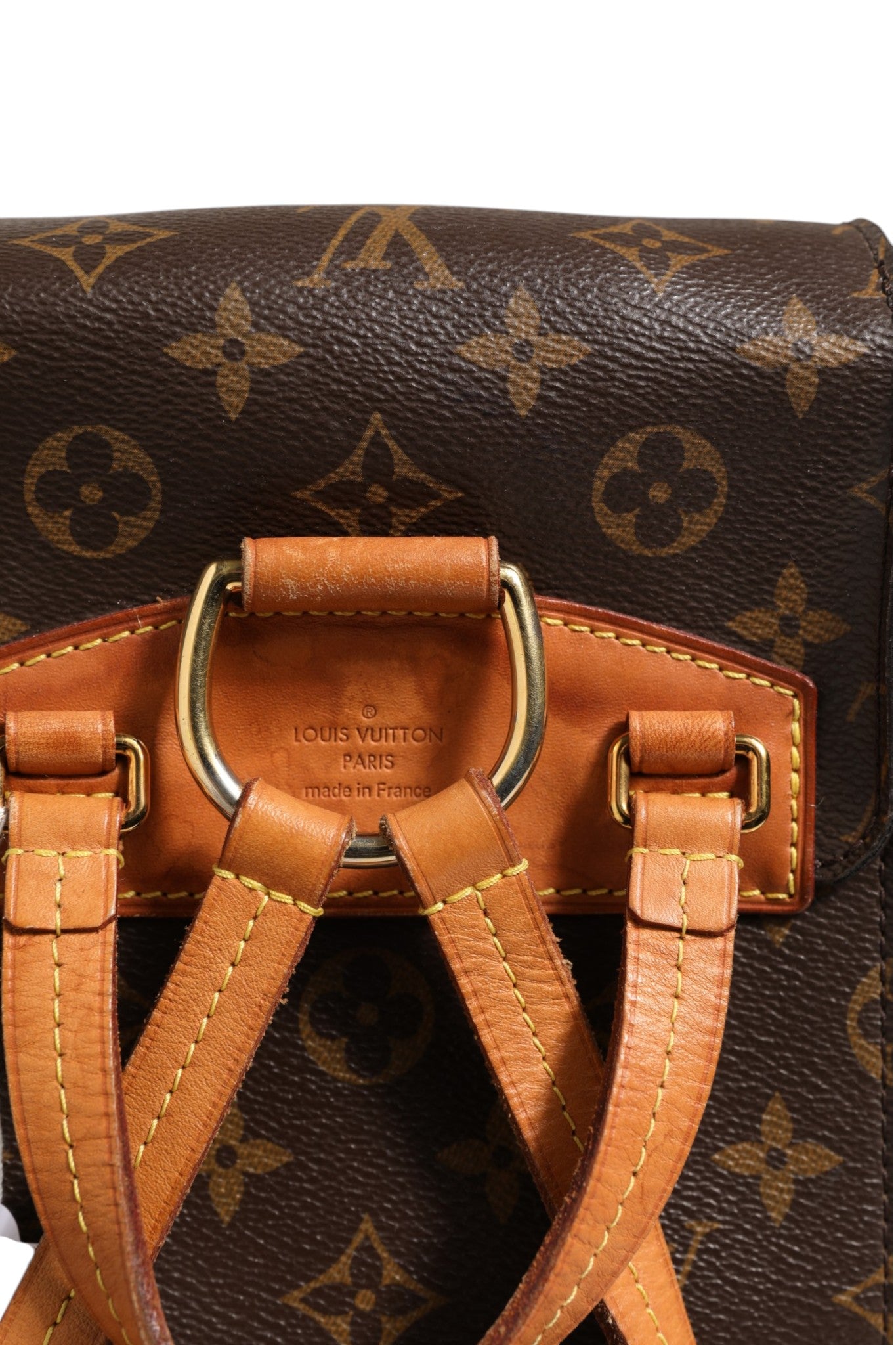 Monogram Canvas Montsouris Backpack