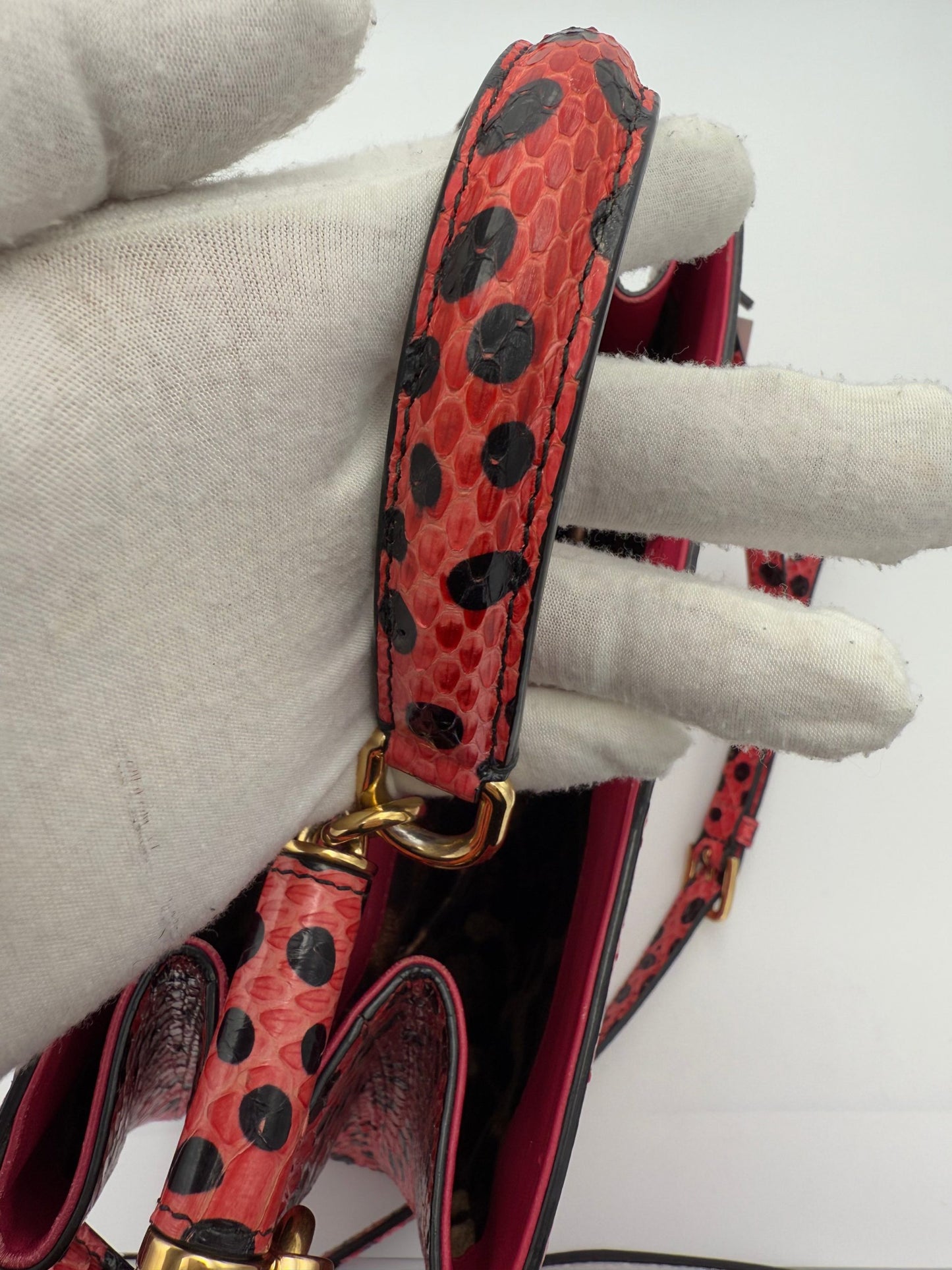 DOLCE & GABBANA SICILY in Reptile Skin Handbag