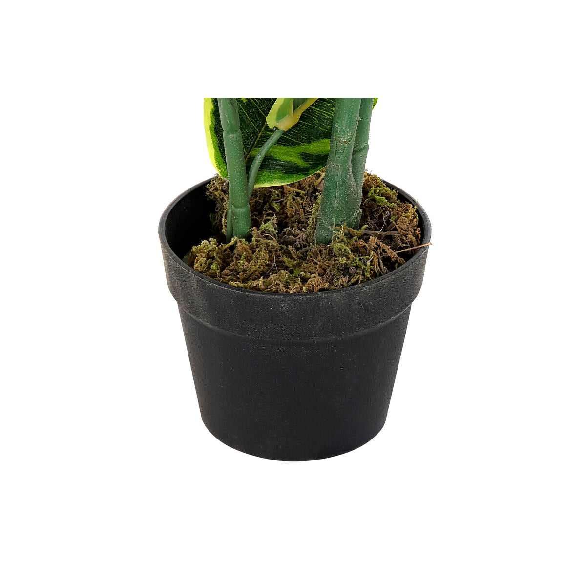 V10HB697F31652D7281990492E5962B233D5R1597860P2