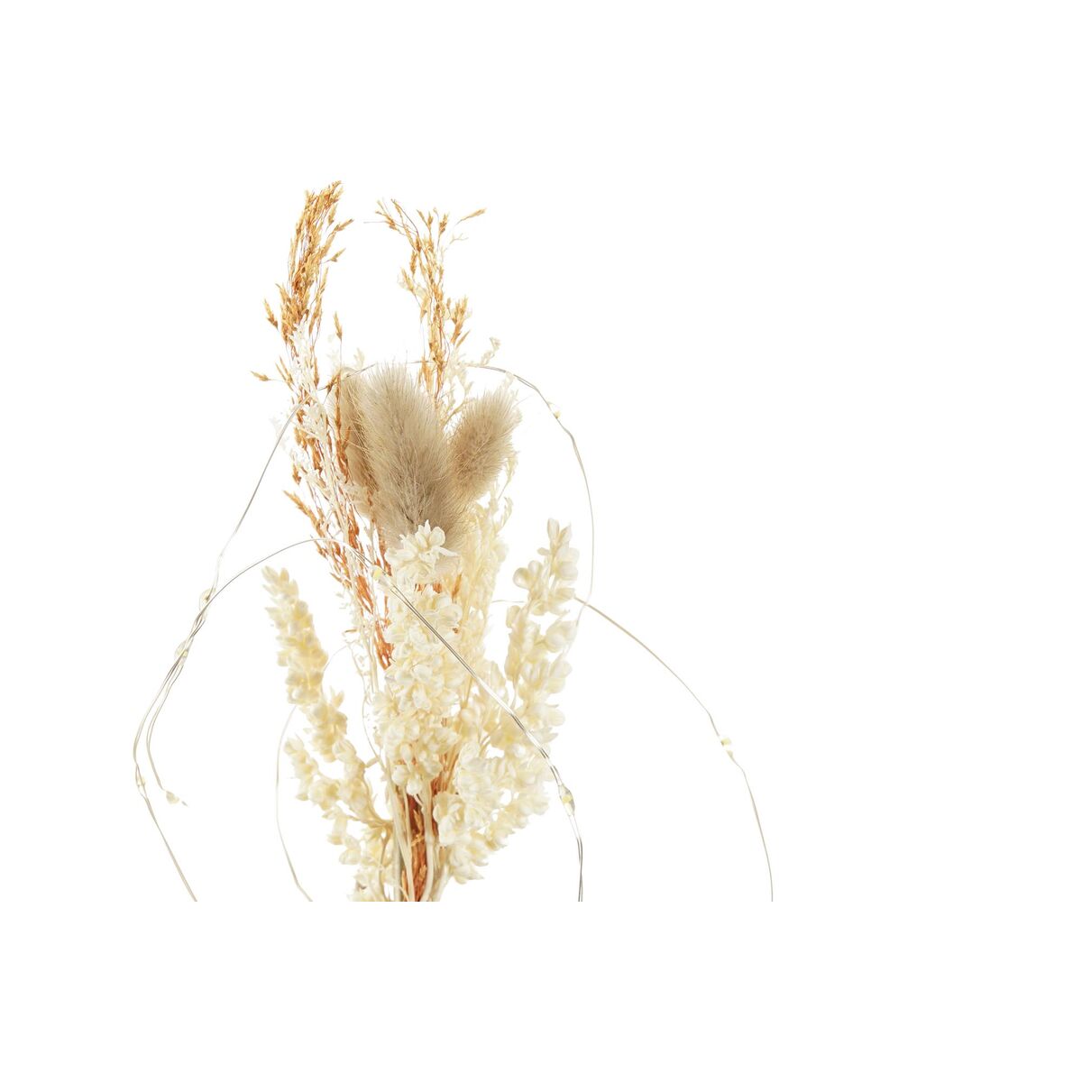 V8H822C8D356F16036A31055DC7997ED3DBR2366253P2