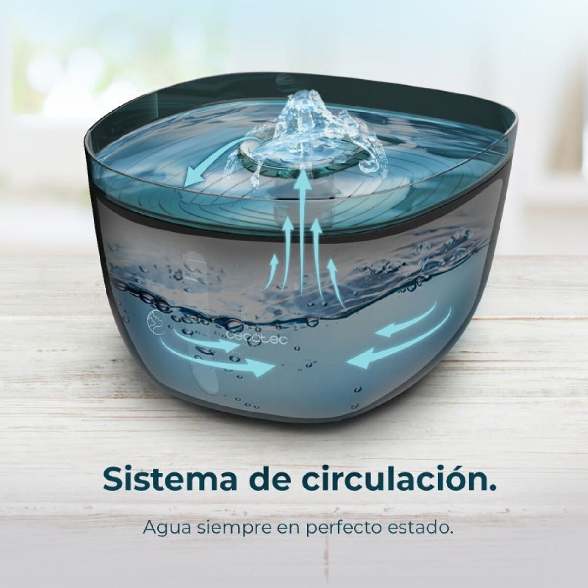 V4H72DBD8BE396DF71F3973B2D97F709B9CR6937999P2