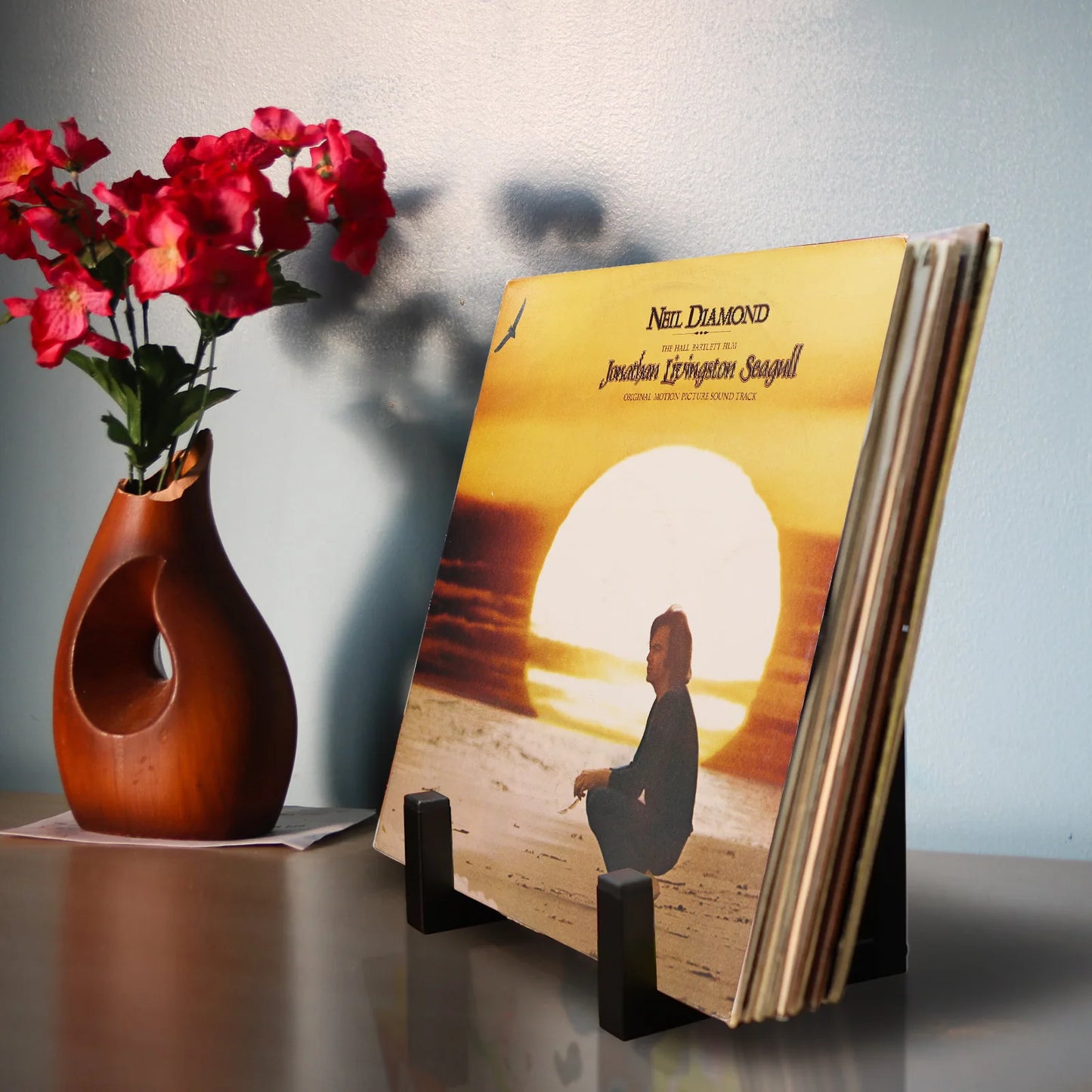 Metal Vinyl Record Storage Tabletop Retro Minimal Record Holder For LP