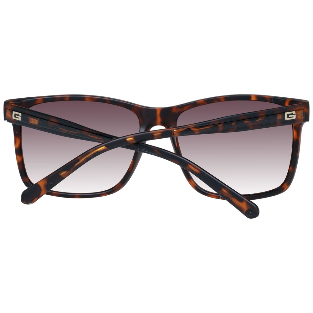 Brown Plastic Sunglasses