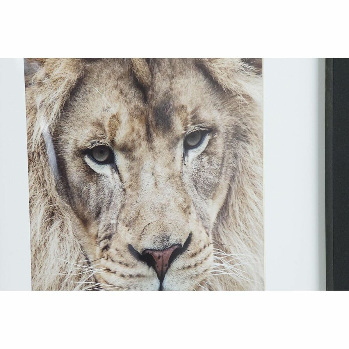 V10H39A1CDABC82176482FAA170CD3BC2FA3R6374200P2