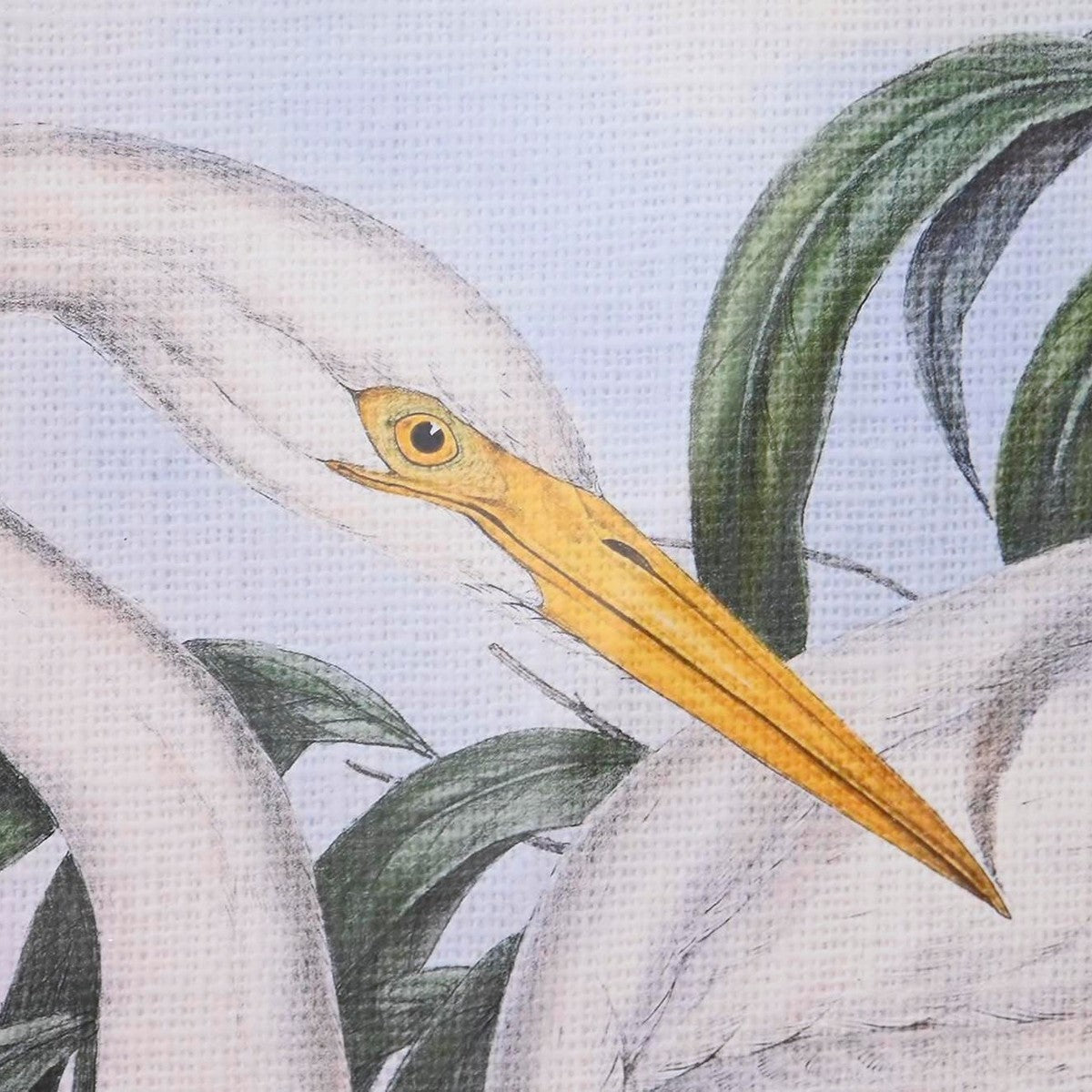 V10HF1D53B564F3B6131FA6561A9693D2333R6372341P3