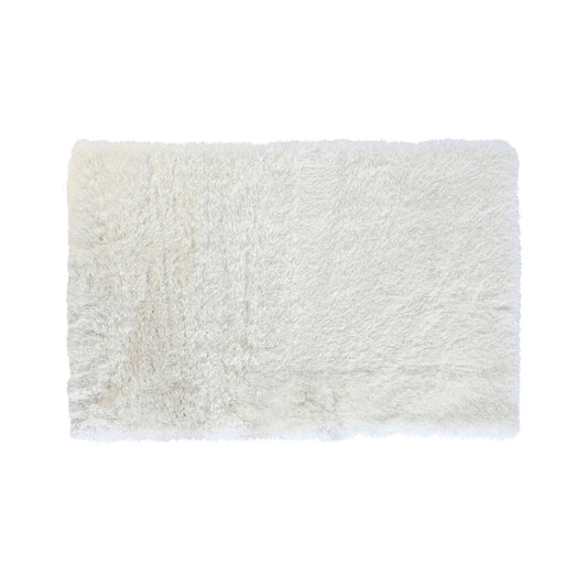 V5HC13E9F362F5ED7E5400A06A9CFDED82DR2401334P1