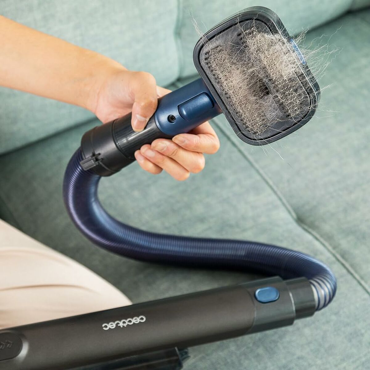 V6H4FAF434F173D64809CA3889E0C6F2CCER3165278P4