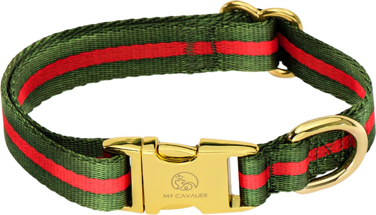 Halsbånd til Hunde